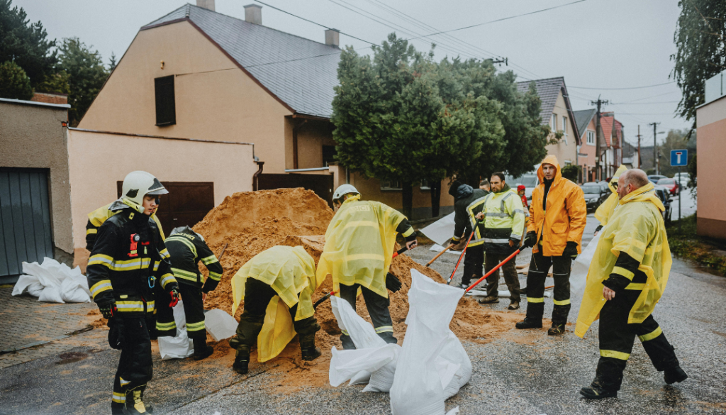 Pengendalian Hama Serbuk Kayu (Drywood)